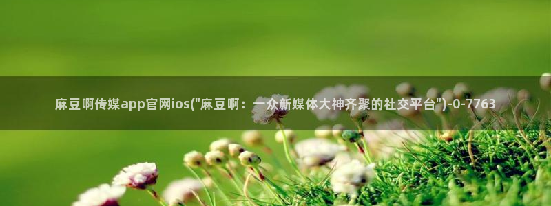 麻豆传媒映话官网:麻豆啊传媒app官网ios(\